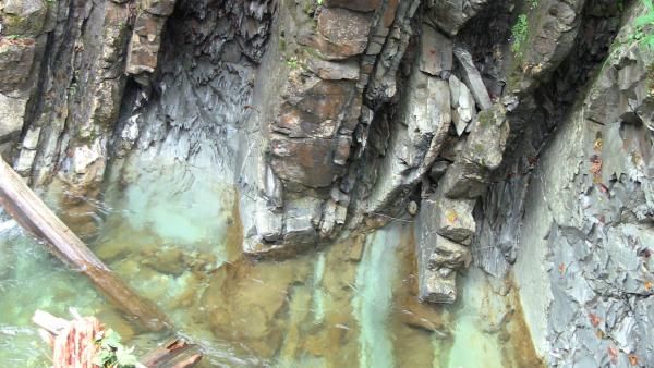 eM int'l Conference 2014, flysch excursion, picture © cvdb 2014