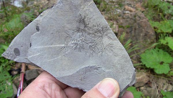 eM int'l Conference 2014, flysch excursion, picture © cvdb 2014