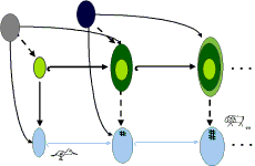 topoi partial morphisms